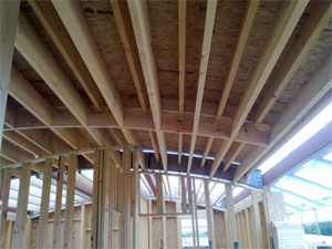 Timber Frame Roof